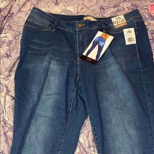 2/$15 NWT plus midi skinny jeans